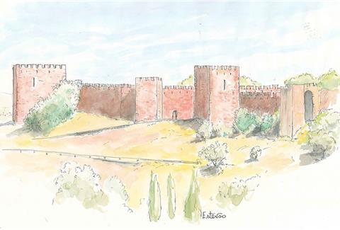 Muralhas e Porta da Almedina